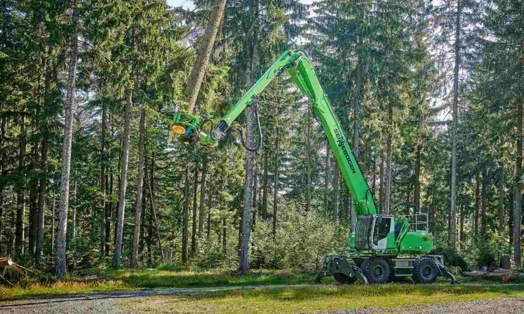 Tree Felling Equipment A Comprehensive Guide 8194