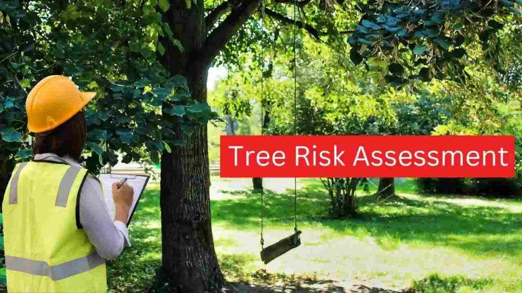 tree risk assessment